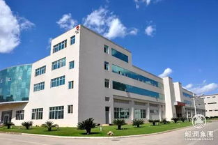 龙润药业荣膺国家知识产权优势企业，助推园区资产投资升级