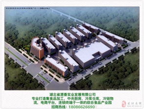 武汉东西湖区食品厂房 配套齐全与管理并重，助力企业高效发展