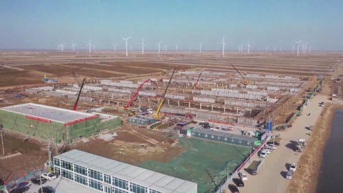 东营通威1万吨/年南美白对虾智慧化养殖项目加快推进，助力利津县园区资产投资与管理