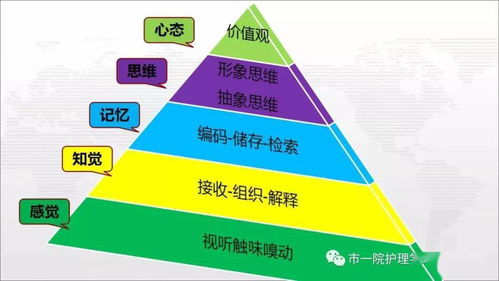 思维导图在临床管理与园区资产投资管理中的创新应用